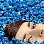 yelle2014