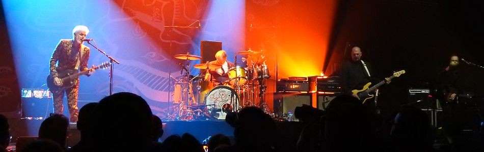 Triggerfinger 2018 bannière Triggerfinger 2018 bannière