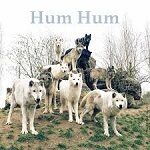 hum hum ep 2019