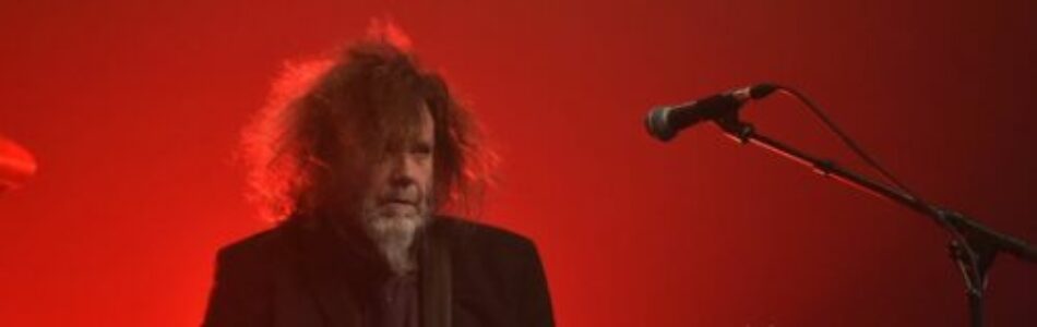 The Inspector Cluzo (2025) (bannière)