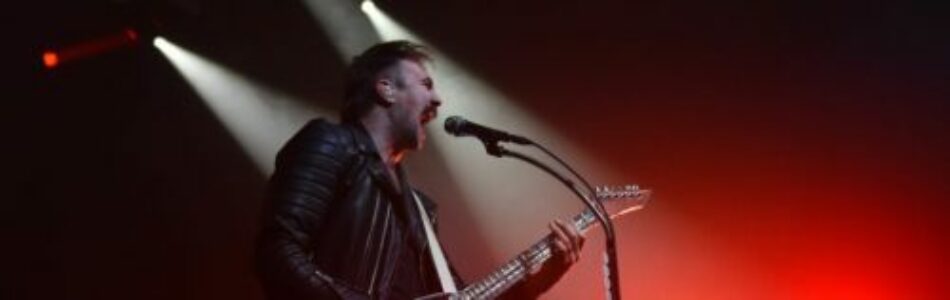 Royal Republic (bannière 2026)